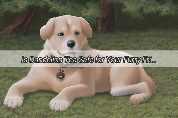 Is Dandelion Tea Safe for Your Furry Friend Uncover the Benefits for Your Dog